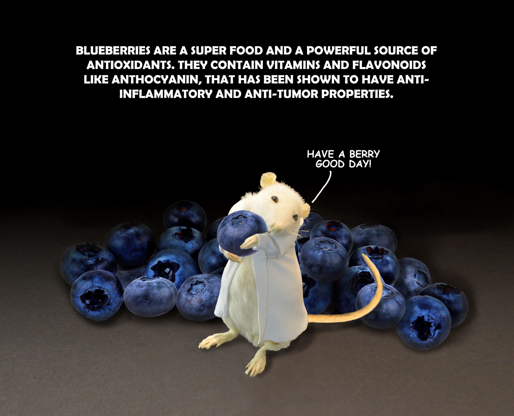 H R loves blueberries